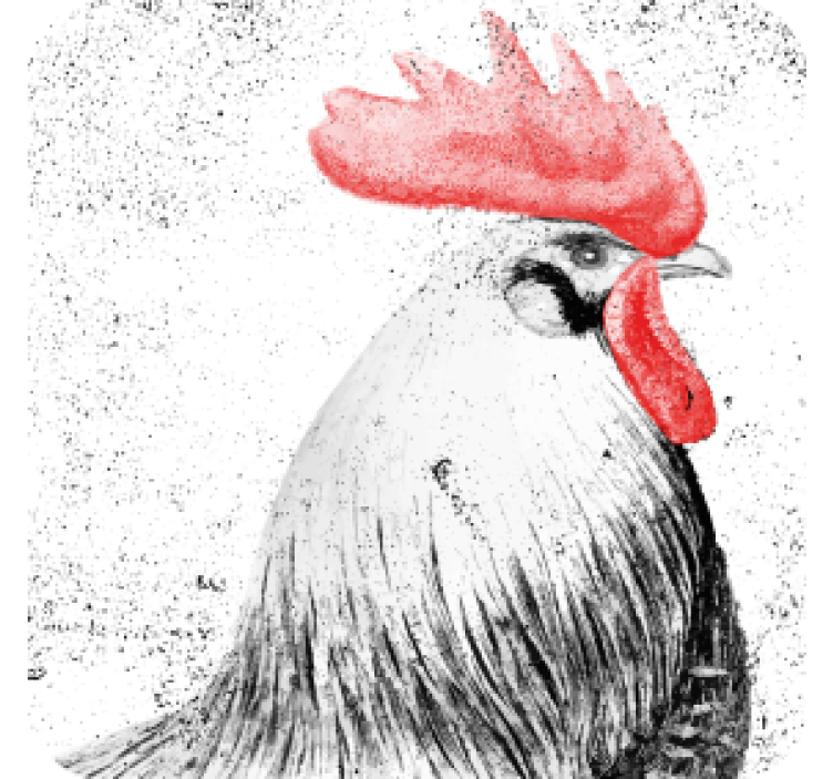 čierny a červený kohút vinobranie tácka - Tenstickers