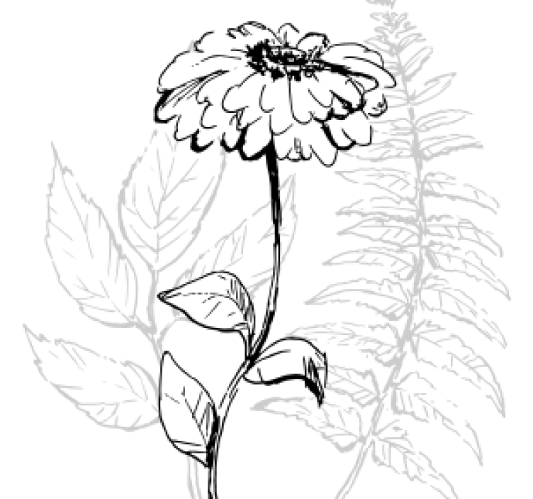 Ručne kreslené tulipány ďalšie tácky - Tenstickers