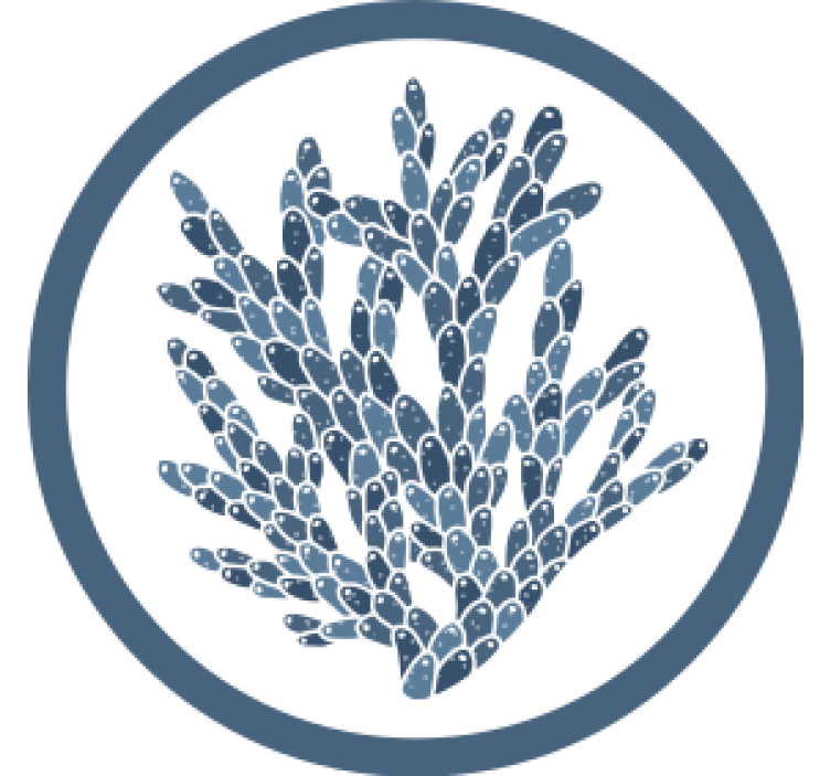 Podtácka s abstraktným koralovým vzorom - Tenstickers