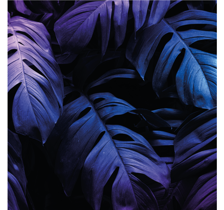 Podtácka s motívmi bujnej zelene - Tenstickers