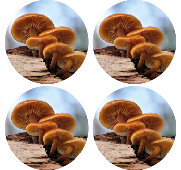 Moderná podtácka s usporiadaním húb - Tenstickers