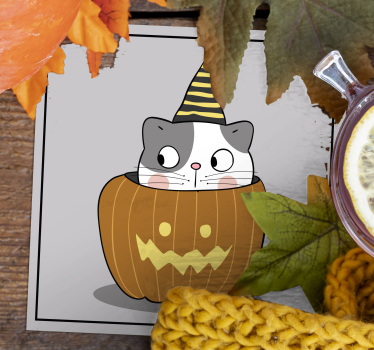 Podtácka halloween mačka v tekvicovom klobúku - Tenstickers