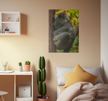 plagát do spálne mladých koala spí - Tenstickers