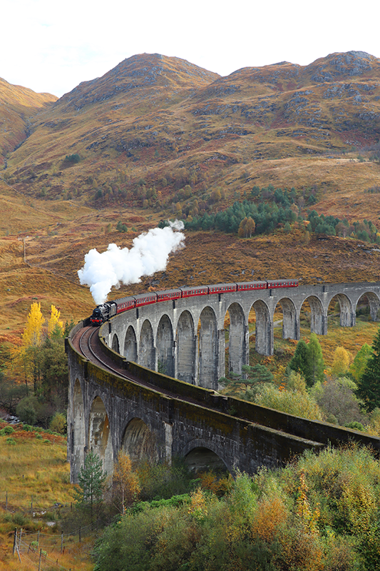 Realistický foto plagát pohybujúci sa vlak - Tenstickers