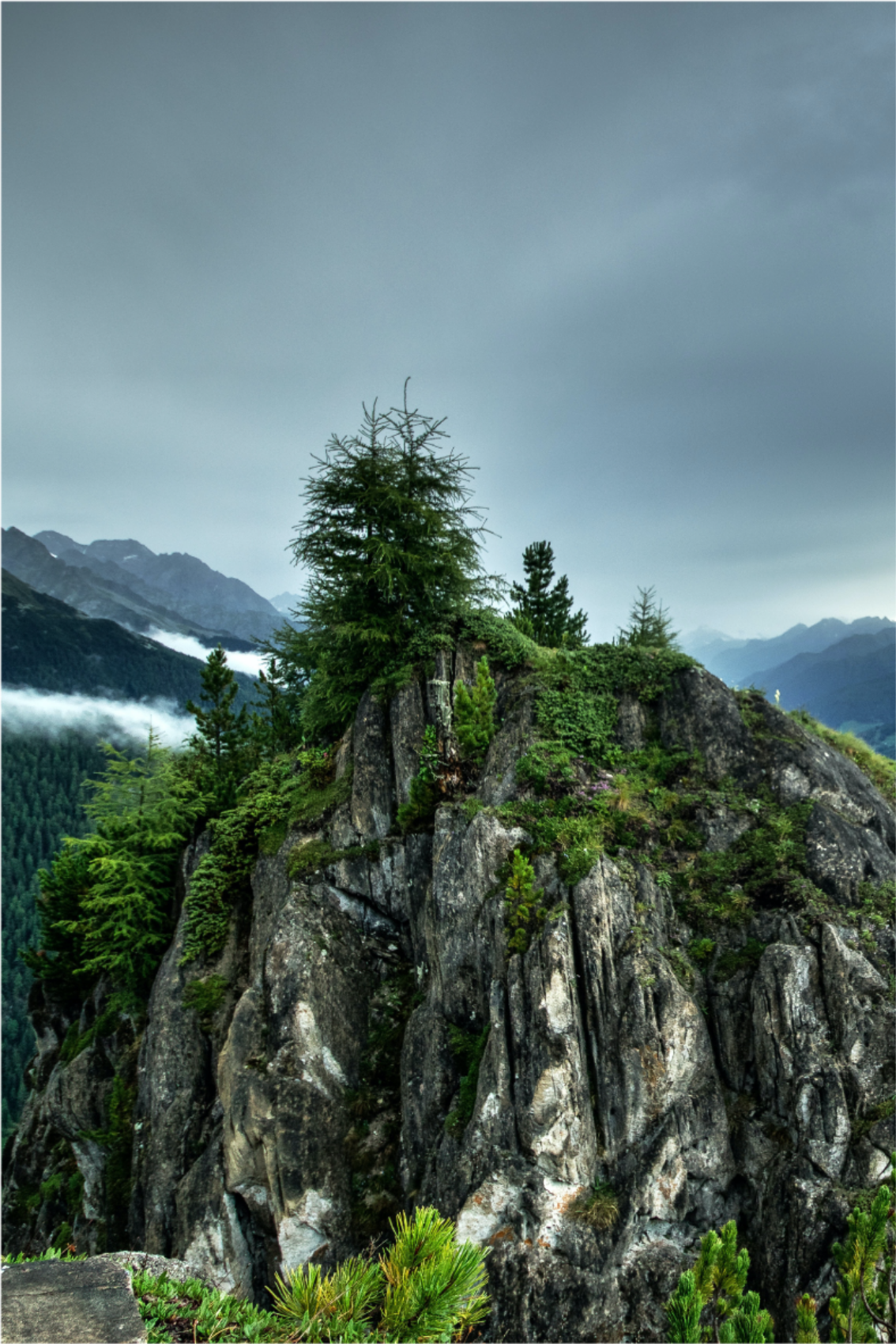 Plagát na izbu osamelá skala v zelenej hore - Tenstickers