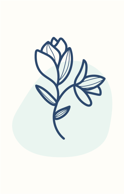 Plagát kvety a rastliny botanická obrysová ilustrácia - Tenstickers
