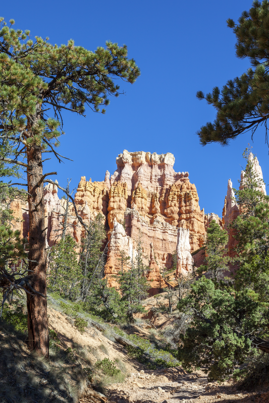 Plagát krajiny bryce canyon - Tenstickers