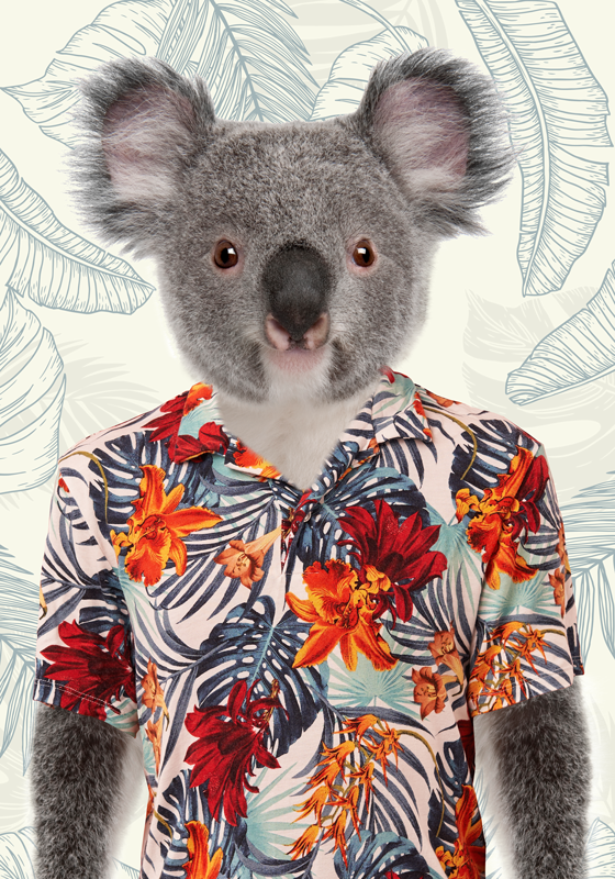 plagát do spálne pre mladých elegantná koala - Tenstickers