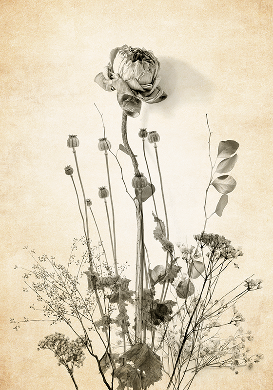 Plagát Flores kytica kvetov na béžovom pozadí - Tenstickers