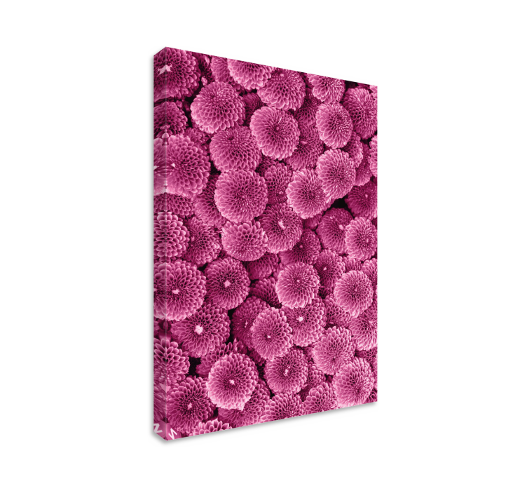 Krásne ružové kvety kvetinové obrazy na stenu - Tenstickers