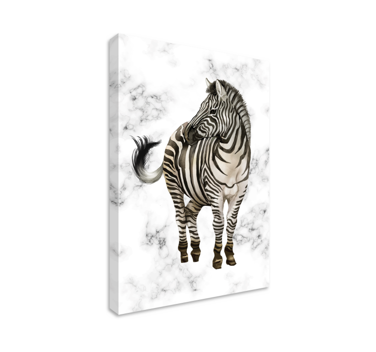 Obraz zvierat zebra elegancia - Tenstickers