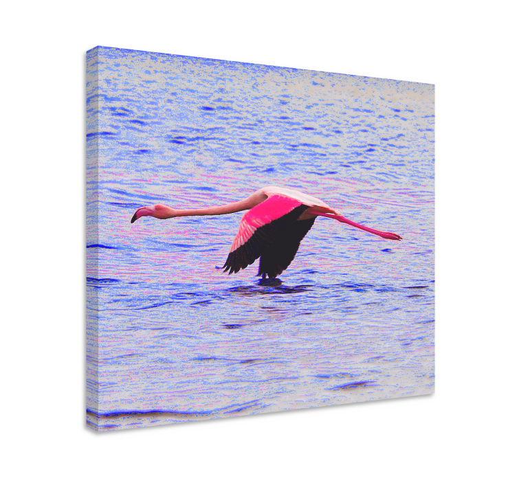 Obraz na stenu ryby plameniak vo vzlete - Tenstickers