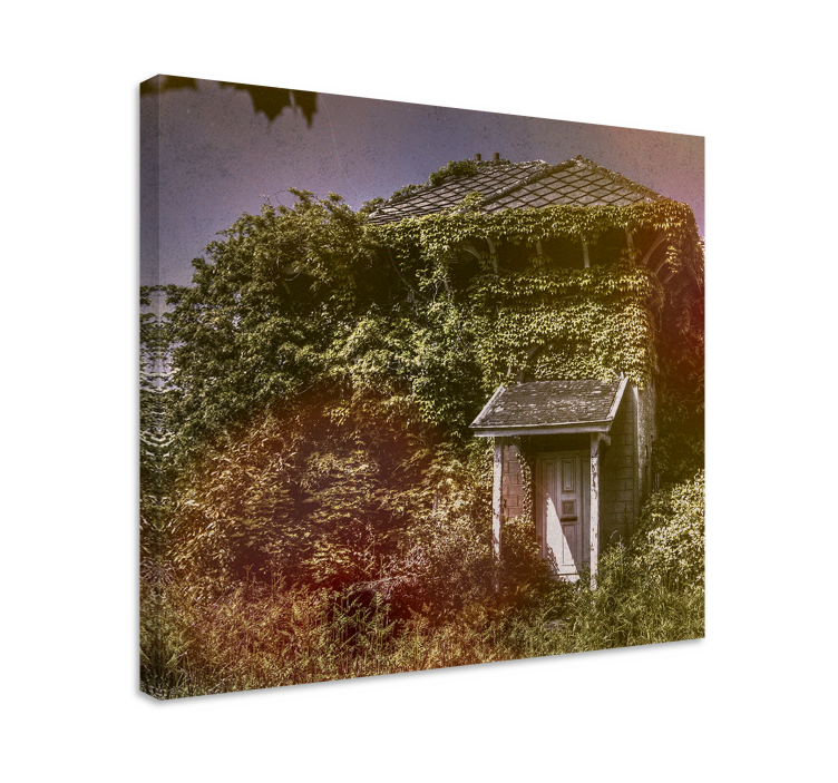 Obrazy na obrazy na stenuprírodná izbová rastlina cottagecore - Tenstickers