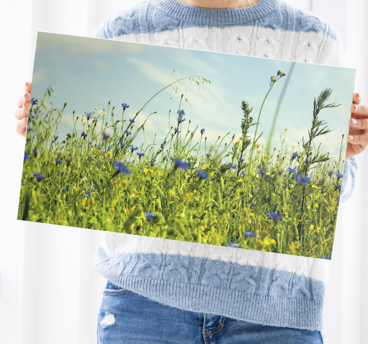 Cornflower field obrázok kvetinové obrazy na stenu - Tenstickers