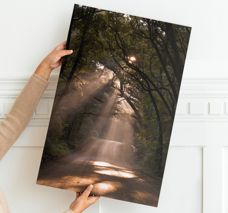 Obraz panoráma slnečný lesný chodník - Tenstickers