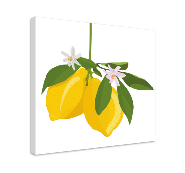 Plátno ovocia z citrónovníka umenie - Tenstickers