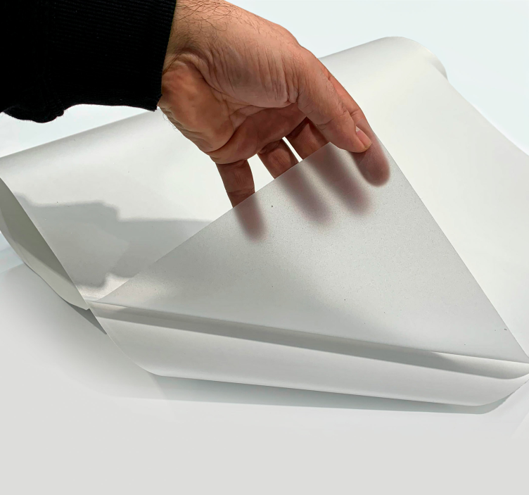 nálepka na okno translúcido básico - Tenstickers