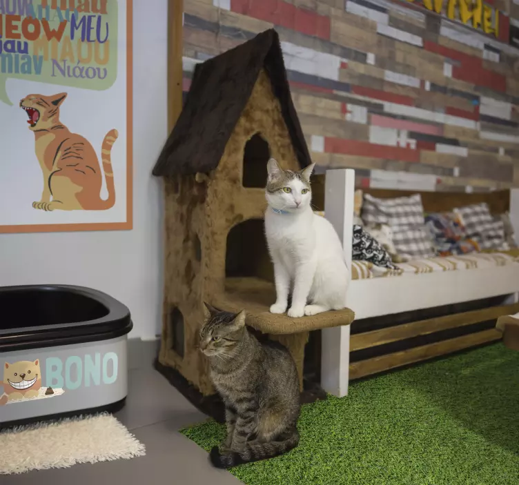 Nalepky na stenu macky názov kocúrka lôžka - Tenstickers