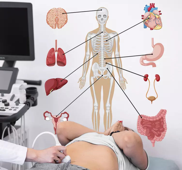 Nálepky na lekárske infografiky - Tenstickers