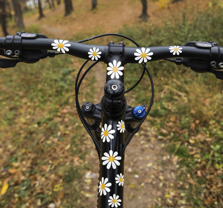 Nálepka na bicykel so sedmokráskami - Tenstickers