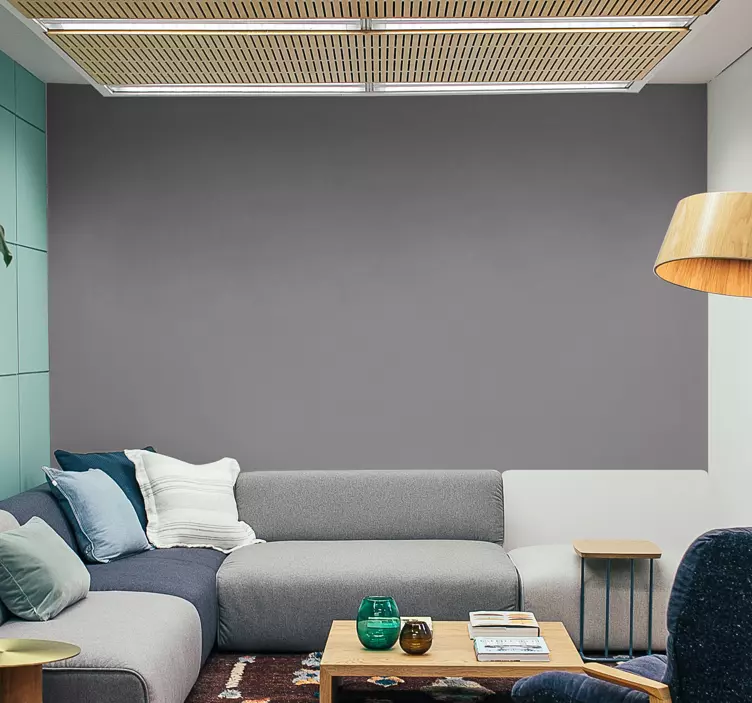 Sivý obyčajný vinyl na stenu - Tenstickers