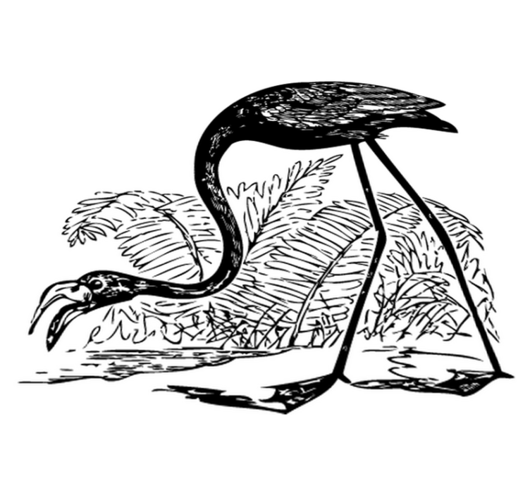 Vinylové koberce zvieratá plameniak s papraďami - Tenstickers