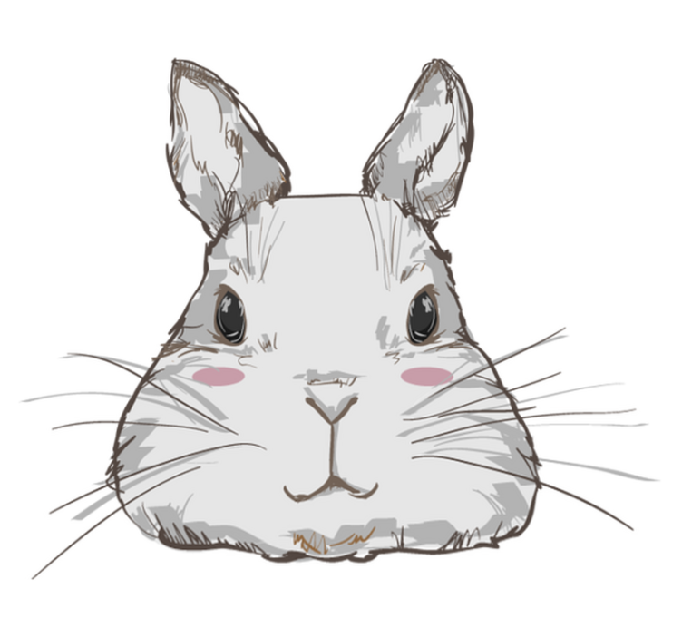 Vinylové koberce zvieratá roztomilá hlava zajaca - Tenstickers