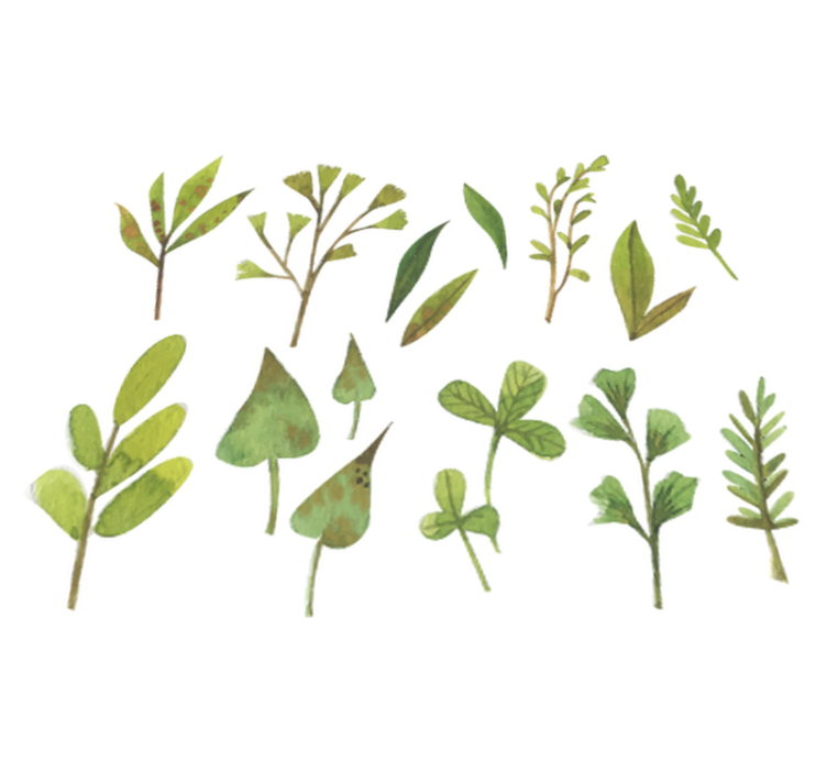 Vinylový koberec s kvetmi aquarella malé listy - Tenstickers