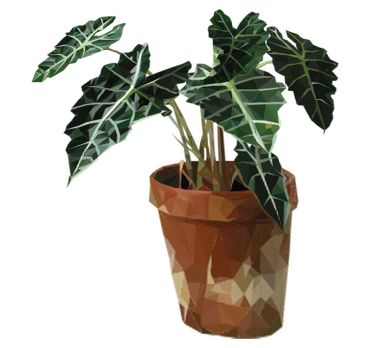 Vinylový koberec s kvetmi geometrických kvetináčov - Tenstickers