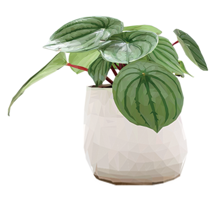 Vinylový koberec s kvetmi jednoduchá domáca rastlina - Tenstickers