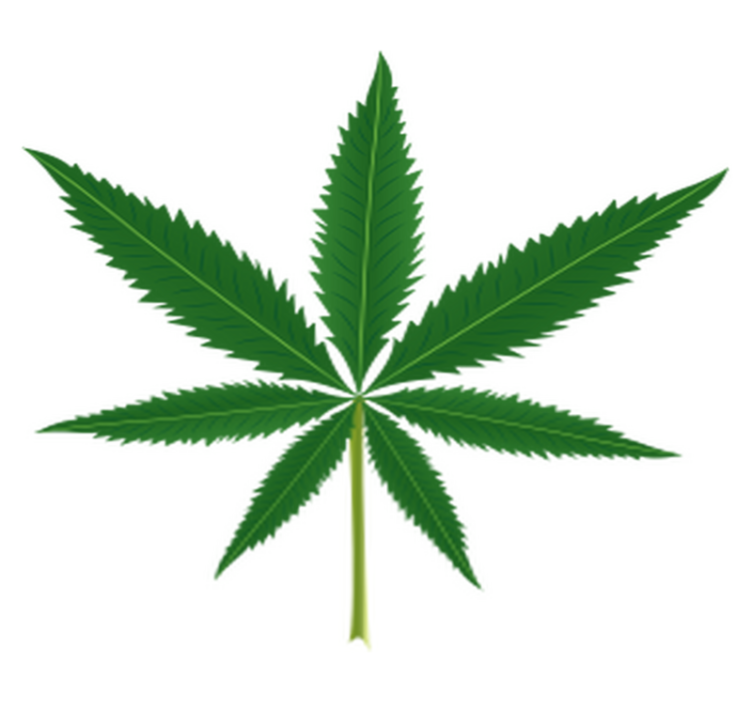 Vinylový koberec s kvetmi listy marihuany - Tenstickers