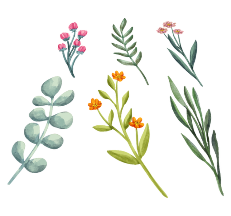 Vinylový koberec s kvetmi rastlinné vetvy - Tenstickers