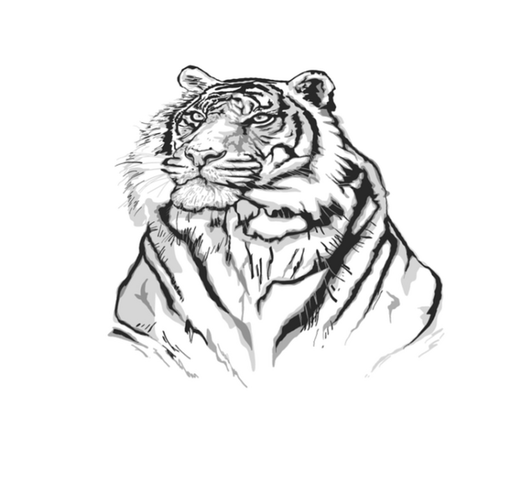 Koberec zo zvieracieho vinylu z bieleho tigra - Tenstickers