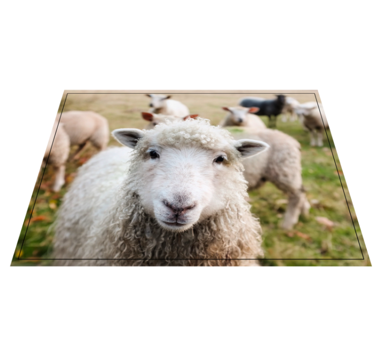 Zvieracia ovca dekorácia zvieracieho koberca - Tenstickers