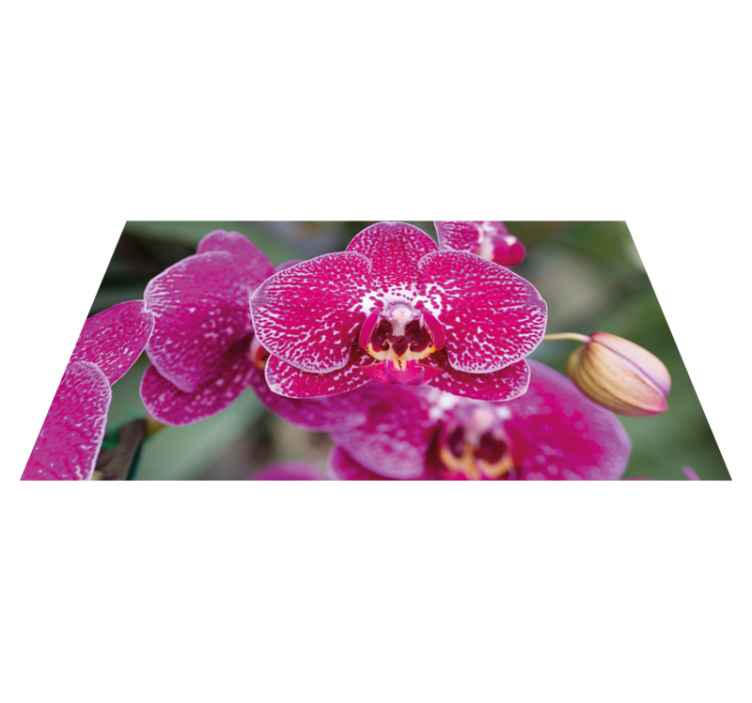Fialová orchidea detailný kvetinový koberec - Tenstickers