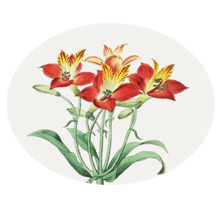 vinylový koberec s kvetmi živé červené kvety - Tenstickers