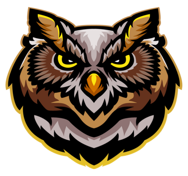 vinylové koberce zvieratá umenie tváre sovy - Tenstickers