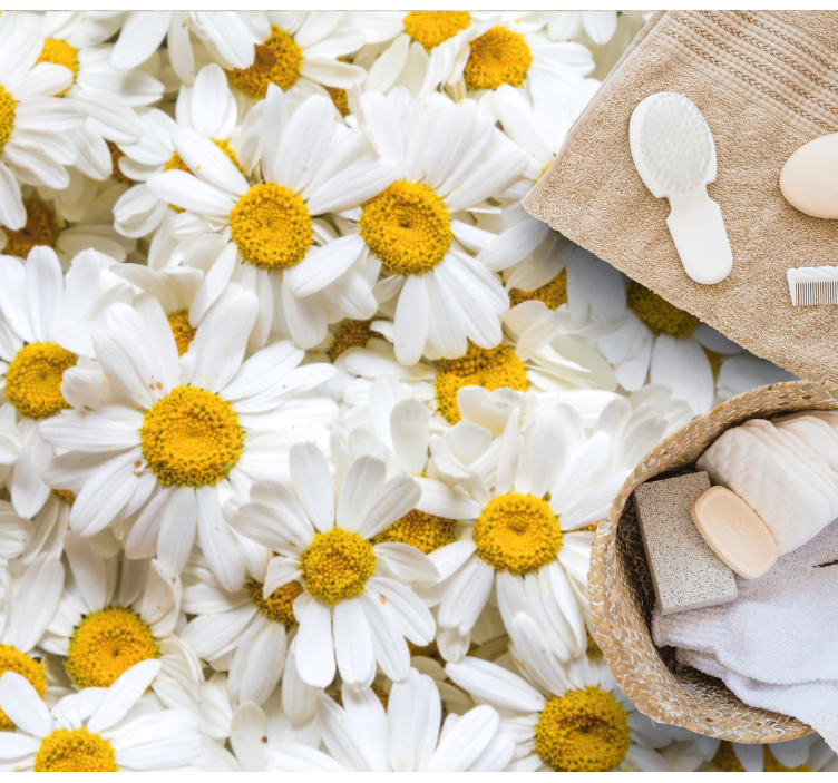 Kvety sedmokrásky obrázok kvetinový koberec - Tenstickers