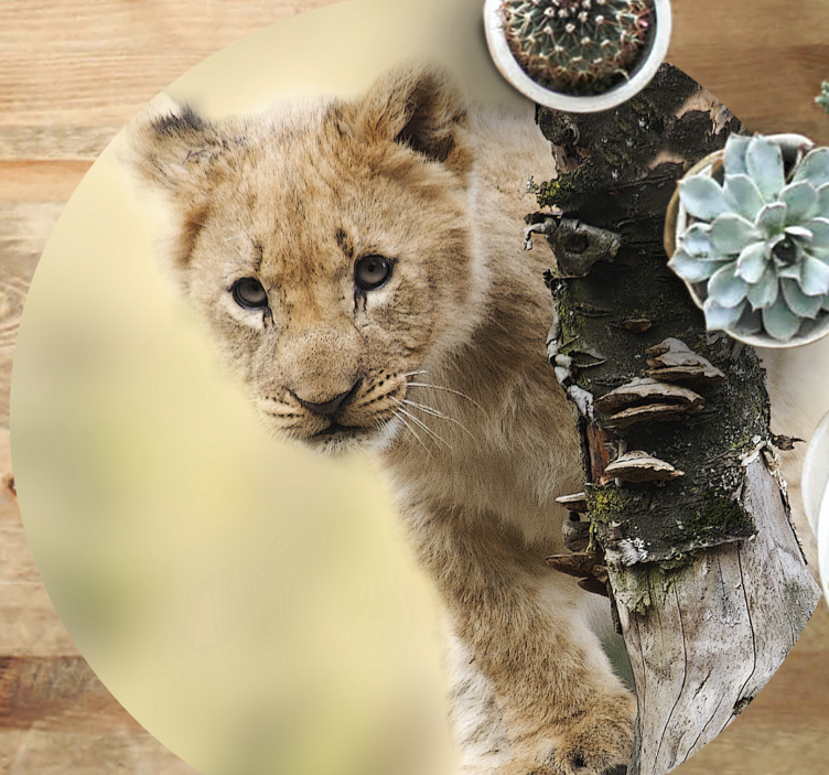 Zviera roztomilý malý lev vinylový koberec - Tenstickers