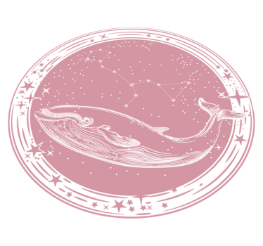 hviezdy vinylový koberec kruh súhvezdia veľryby - Tenstickers