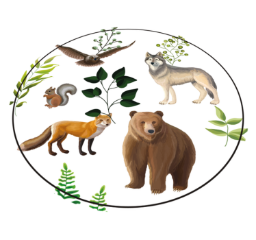 rôzne vinylové koberce pre deti priateľské lesné stvorenia - Tenstickers