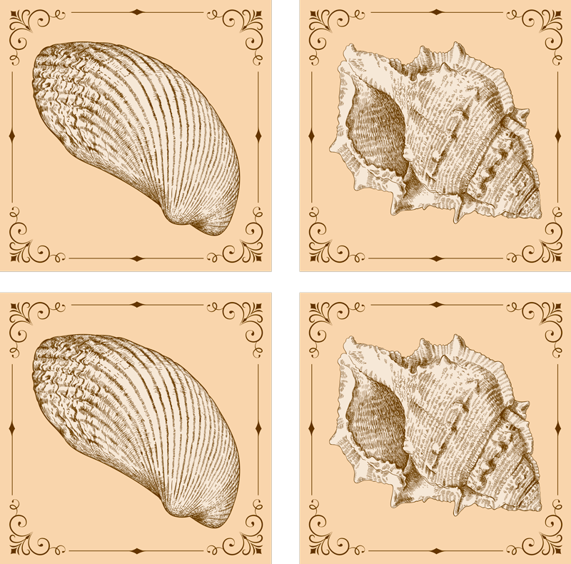 Vinylové koberce zvieratá starožitné mušle - Tenstickers