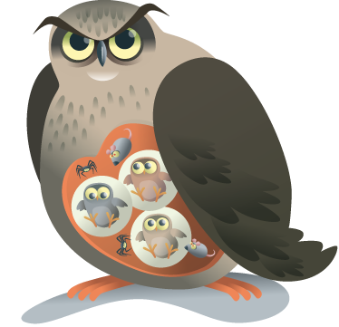 Vinylové koberce zvieratá matka sova - Tenstickers