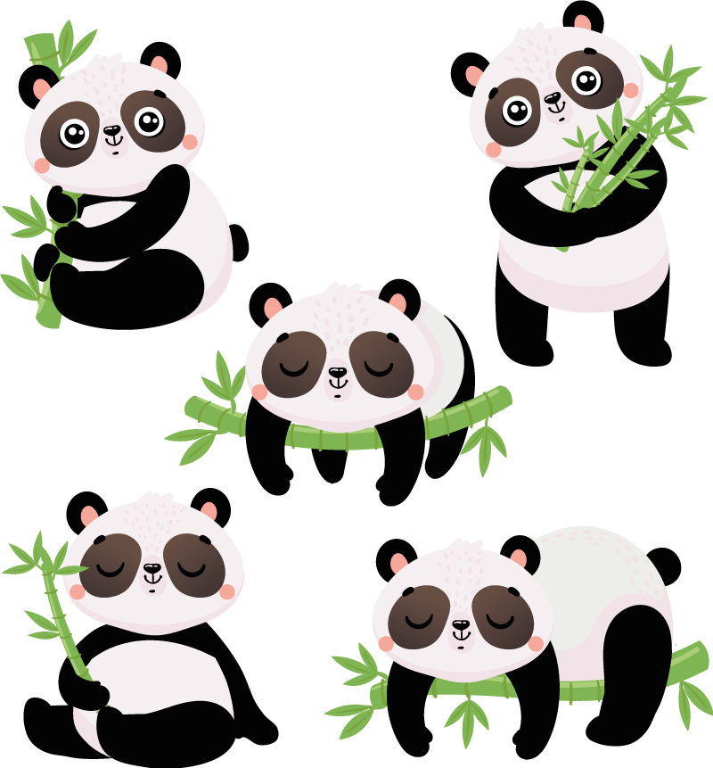 Vinylové koberce zvieratá s roztomilými pandami - Tenstickers