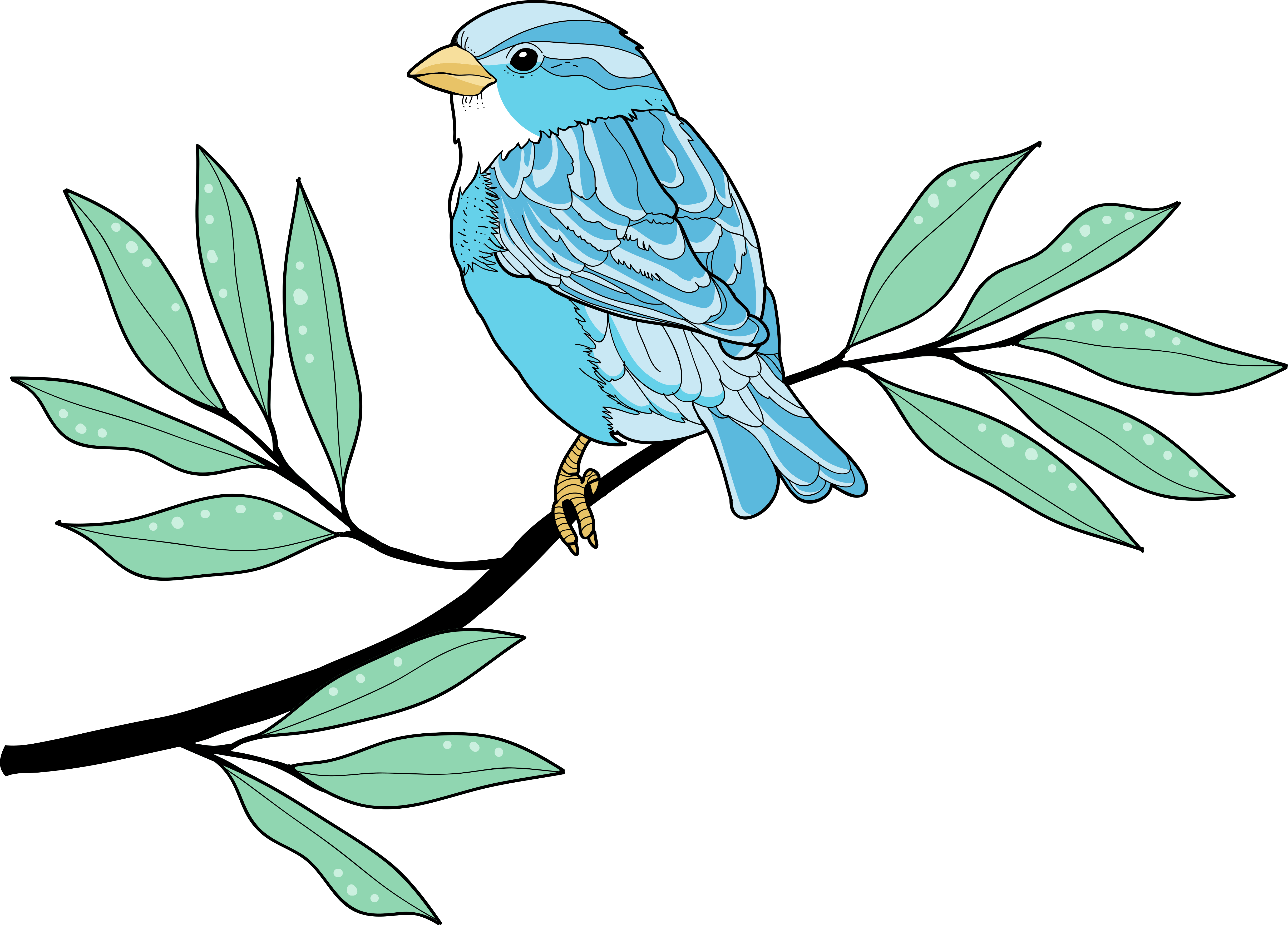 Vinylové koberce zvieratá modré pernaté vtáctvo - Tenstickers