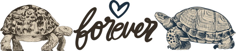 Vinylové koberce zvieratá korytnačky navždy milujú - Tenstickers