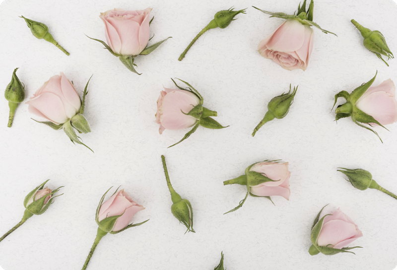 Vinylový koberec s kvetmi romantická jarná kvetina - Tenstickers