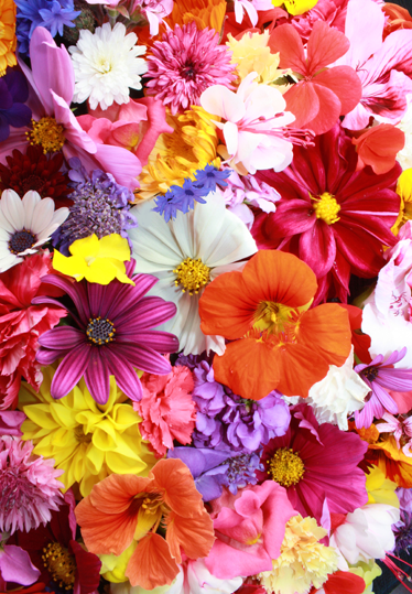 Vinylový koberec s kvetmi plný farebných kvetov - Tenstickers