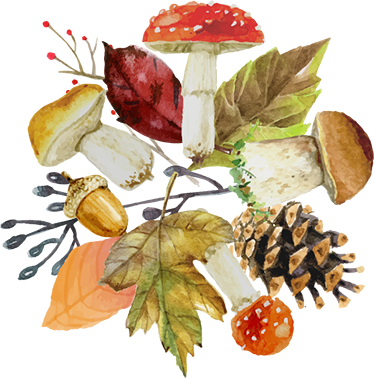 Vinylový koberec s kvetmi jesenné prvky - Tenstickers