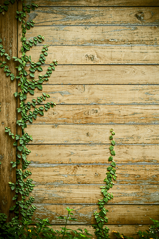 Vinylový koberec s kvetmi na dreve - Tenstickers